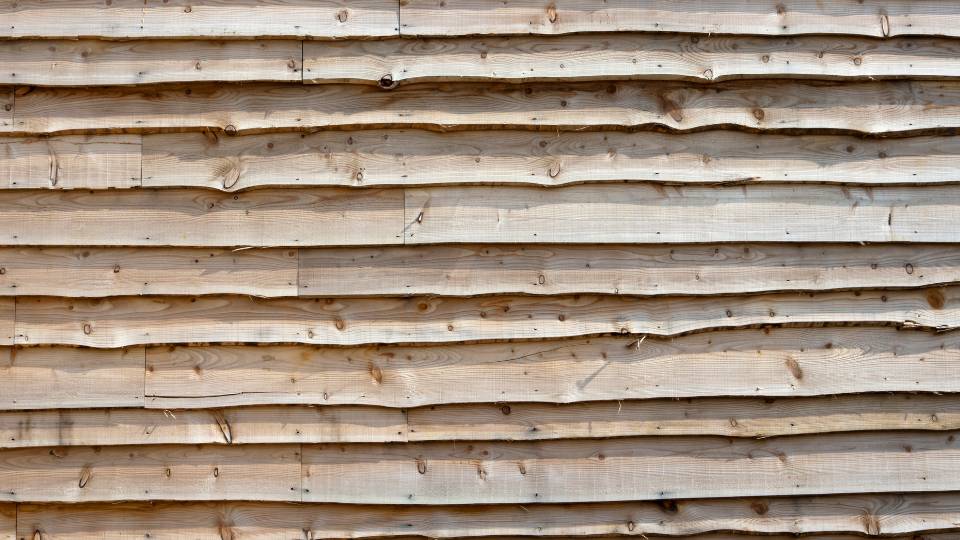 featheredge shed