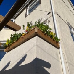 Custom planter